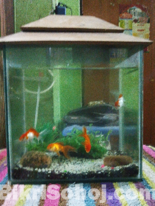 ফিস একুরিয়াম